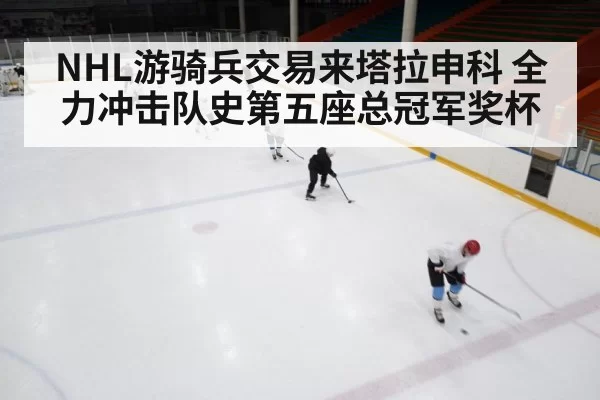 NHL游骑兵交易来塔拉申科 全力冲击队史第五座总冠军奖杯