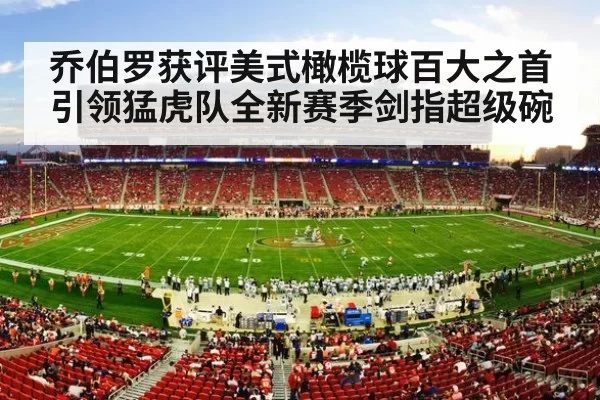 NFL football stadium crowd
